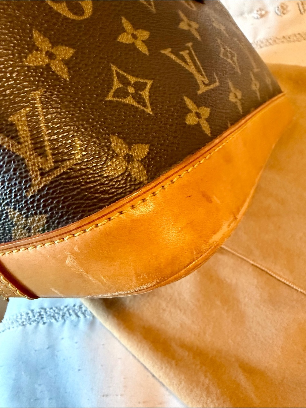 Louis Vuitton Alma PM - Picture 6 of 14